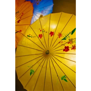 Rainy Day Reflections Umbrella